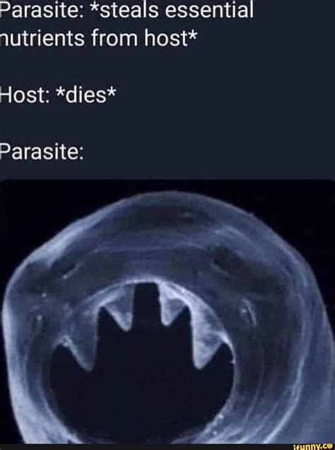 parasite memes|More.